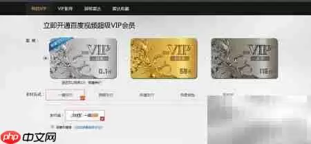 百度视频超级VIP开通全流程:入口、支付与权益解析_wishdown.com 支付成功后的会员状态确认