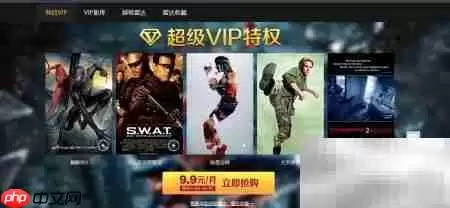 百度视频超级VIP开通全流程:入口、支付与权益解析_wishdown.com VIP会员专区页面概览