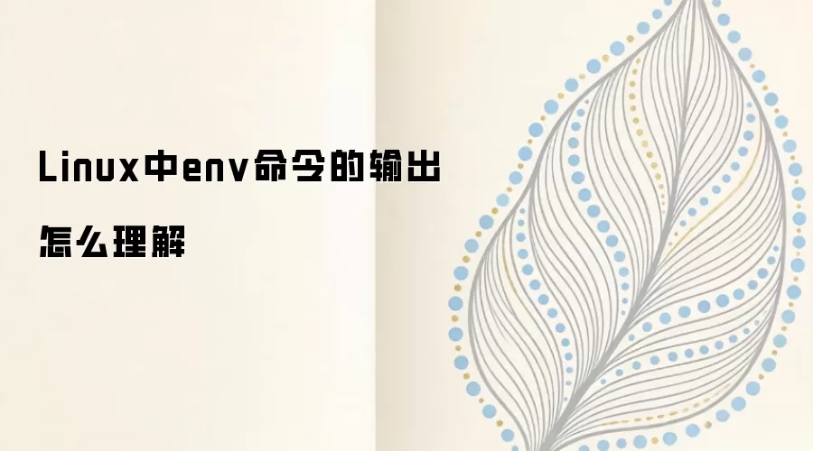 Linux中env命令的输出怎么理解_wishdown.com Linux中env命令的输出结果示例,显示多个环境变量及其值