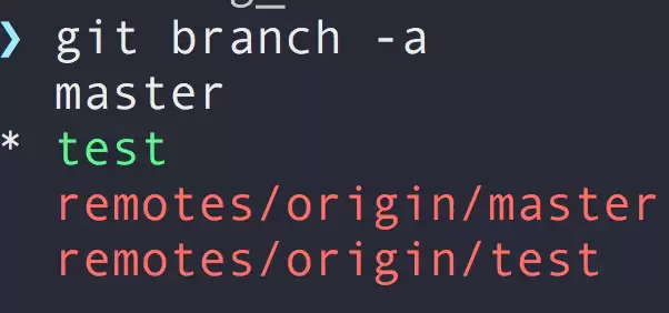 Git 删除分支:本地与远程分支彻底清理指南_wishdown.com Git终端执行git branch -a命令后显示的包含本地和远程的所有分支列表
