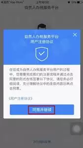 个人所得税APP注册全流程:人脸识别与大厅码注册详解_wishdown.com 个人所得税APP注册界面截图,显示人脸识别认证和大厅注册码注册两个选项