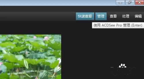 ACDSee怎么查看图片_wishdown.com ACDSee怎么查看图片_wishdown.com
