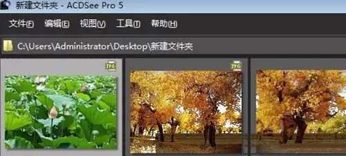 ACDSee怎么查看图片_wishdown.com ACDSee怎么查看图片_wishdown.com