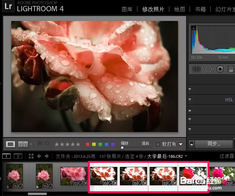 Lightroom怎么批量处理照片_wishdown.com Lightroom怎么批量处理照片_wishdown.com
