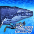 DivingSimulator2020 v1.0 ƻ