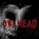 OWLHeadԭ V1.0.1 