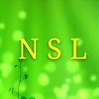 NSL V1.0.0 ׿