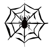 Spider Network V1.0.0 ׿