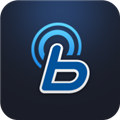 blueLink V2.62 ׿