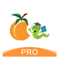 ѧpro v5.16.3