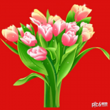 花儿朵朵游戏下载 v1.2.21