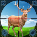 猎杀麋鹿狙击手下载安装 v1.0