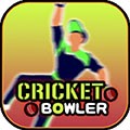 Ͷ Cricket Bowlerֻ V3.0