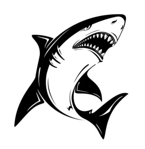 鲨鱼TV电视最新版本5.566 v5.566