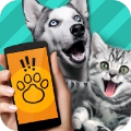 Pet Translator﷭ v1.101