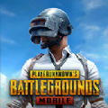 pubgʷιٷ v0.9.5.29