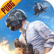 PUBGǷذװ v0.9.5.29