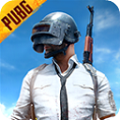 pubgʷ° v0.9.5.29