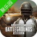 pubg mobile԰Ϸ v1.13.12