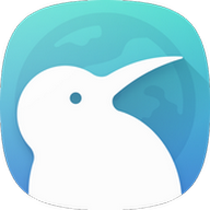 kiwi browser 1.0