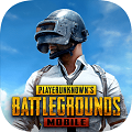 pubgʷιٷ v0.9.5.29