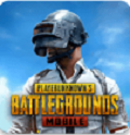 pubgʷ° v0.9.5.29