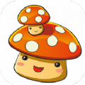 ֽٷapp 1.1