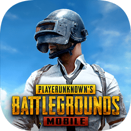 pubgʷ v0.12.0