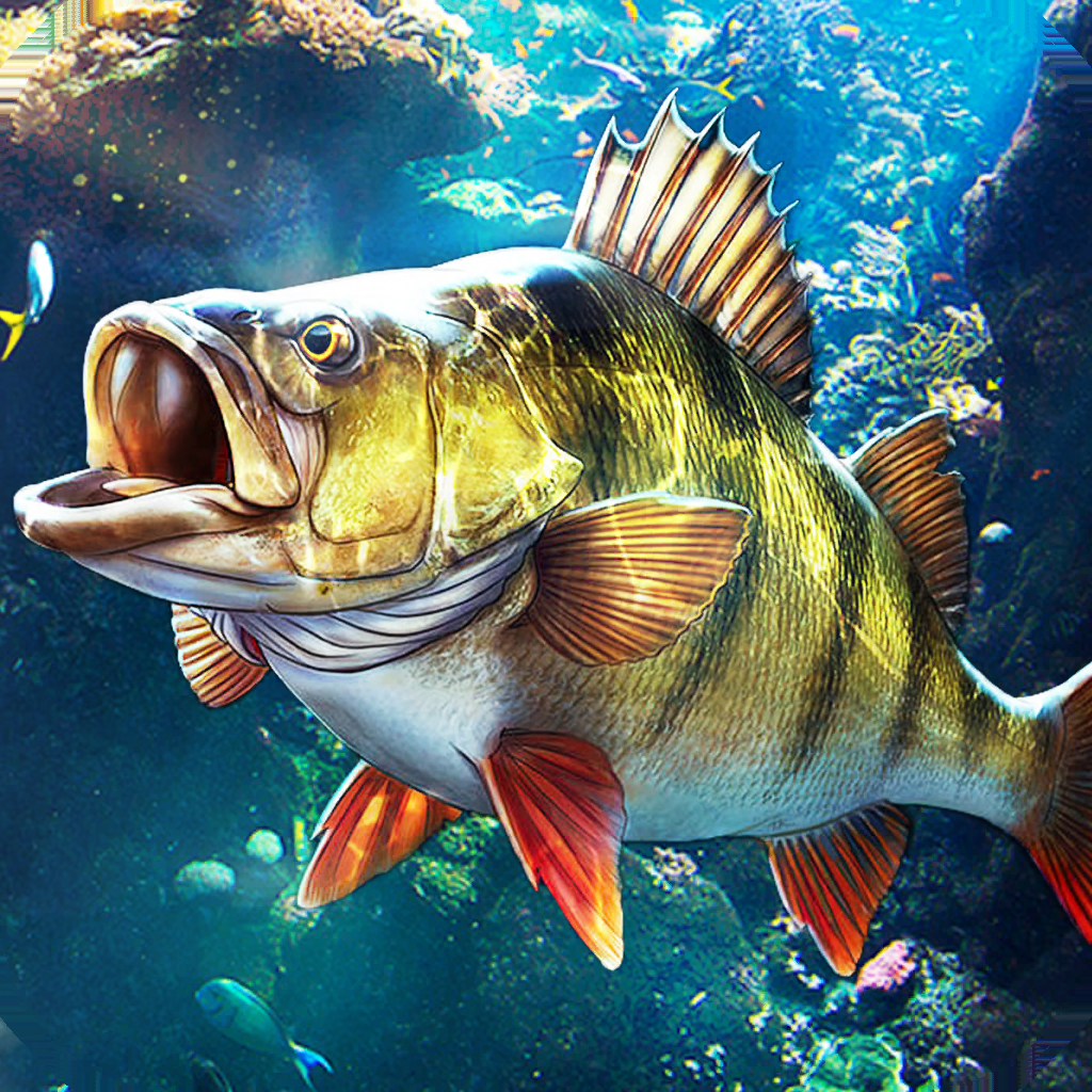 fish onϷذװ v1.0.0.0.48