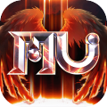  V1.1.313