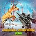 ѻ V1.0.3