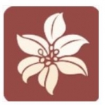300ٺϻapp 1.2.5