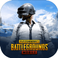 СӸapp 1.82.00