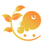 Ӣapp 2.1.13