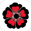ӣapp 2.1