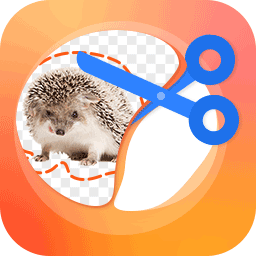 ͼPͼʦapp 2.1