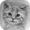 滭app 1.1