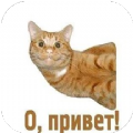 app 1.1