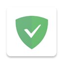 adguard°ذװ 2.11.31