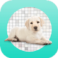ͼapp 1.1