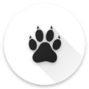 Amarokٷװ 0.8.2b4