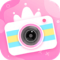˾app 2.1