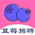 ݮƸapp 1.0.0