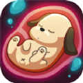 app 1.1