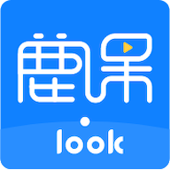 ¹Look 2.1.2