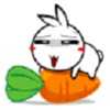 ȤС˵app 1.0