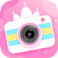 ˾app 2.1
