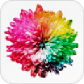 ֽ̬app 2.5.0