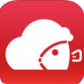 С°app 1.3.14
