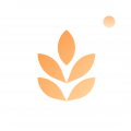 app 1.0